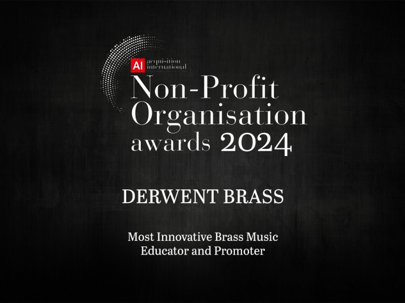 Non Profit Organisation Awards Logo Derwent Brass 2024